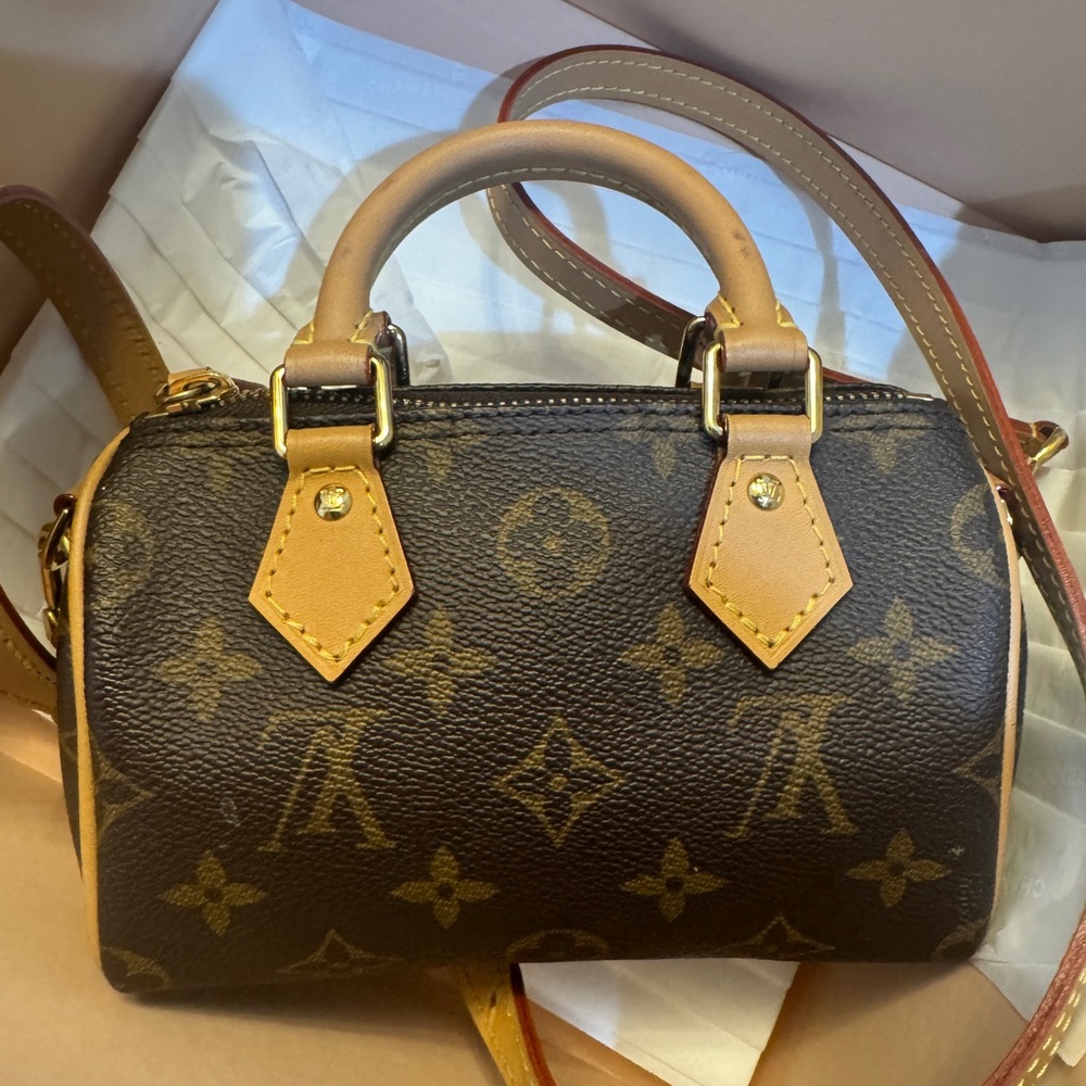 Louis Vuitton Monogram speedy Nano